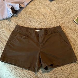 Ann Taylor Loft Shorts